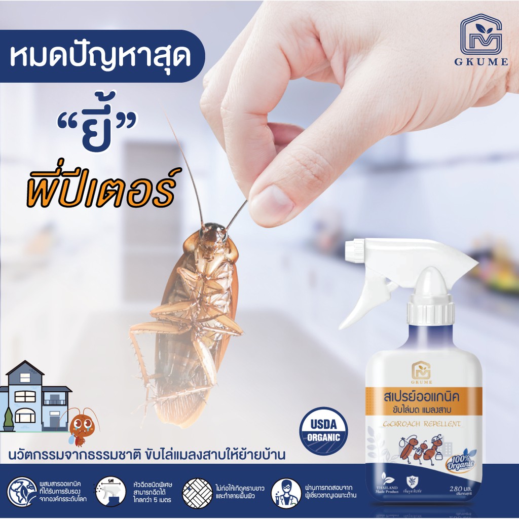 ไล่แมลงสาบ ได้ผลดีที่สุด!!! สเปรย์ออแกนิคคูเมะ Gkume | Shopee Thailand