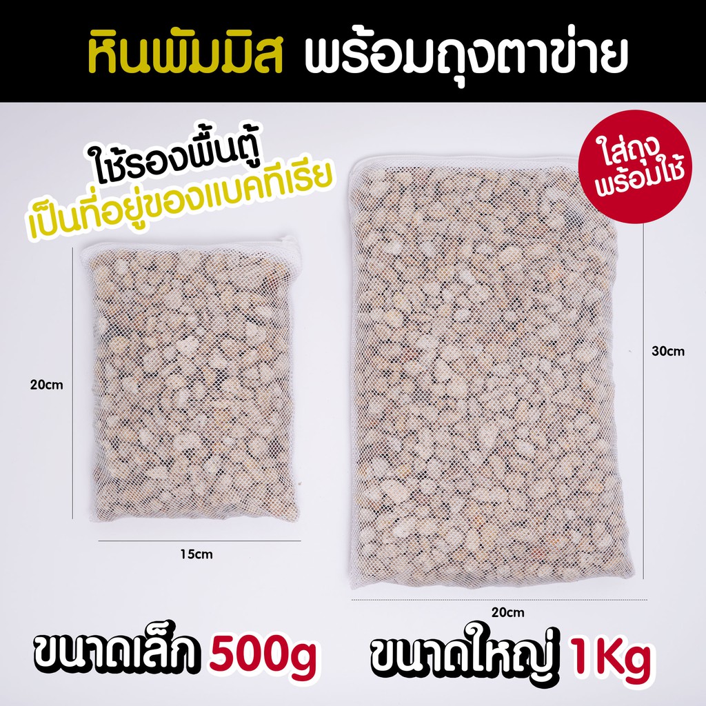 (ล้างฝุ่นพร้อมใช้) หินพัมมิส หินภูเขาไฟ พร้อมถุงตาข่าย วัสดุรองพื้น วัสดุกรอง เป็นที่อยู่อาศัยของแบคทีเรีย | Marangmod