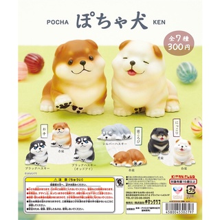 (เลือกแบบ) กาชาปองหมาชิบะ ขนมปัง • Shiba Dog ver. Bread Gashapon