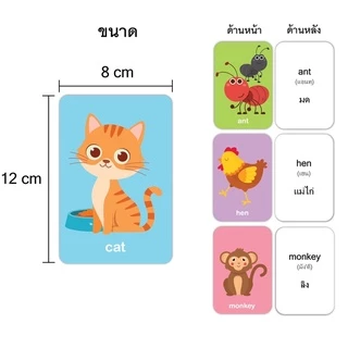บัตรภาพคำศัพท์ แฟลชการ์ด #สัตว์#ผลไม้#abc#ผัก#กขค flashcard