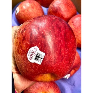 แอปเปิ้ลเอนวี่ ENVY APPLE ยกลัง28-35ลูกใหญ+(NewZealand/USA)พร้อมส่ง