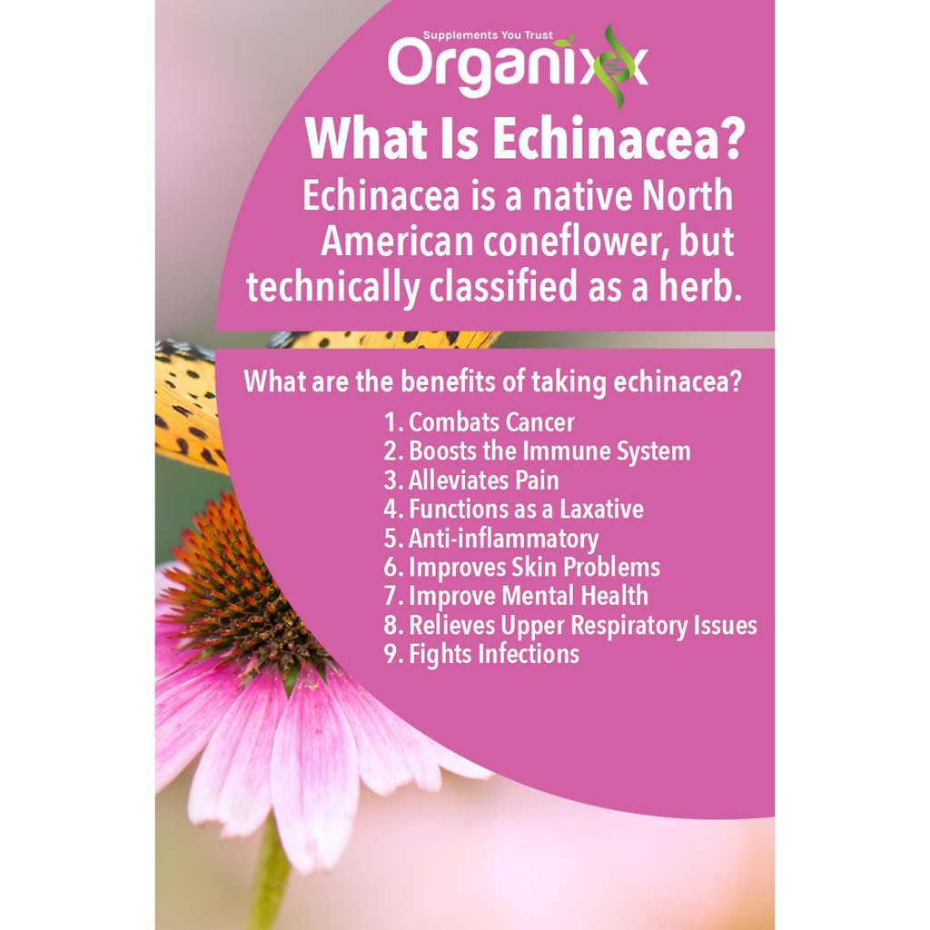 (Now Foods®) Echinacea Extract 59 mL รูปที่ 6