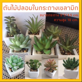 ✔️✔️Cactus 5x5x8-12CM กระบองเพชร ไม้อวบน้ำ ต้นไม้ปลอม กระบองเพชรปลอม