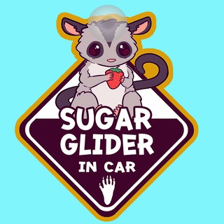 ป้ายติดรถยนต์ DIC63 จุ๊บติดกระจก DOG IN CAR ❤ Sugar glider ❤ ป้ายติดกระจก ป้าย สติ๊กเกอร์