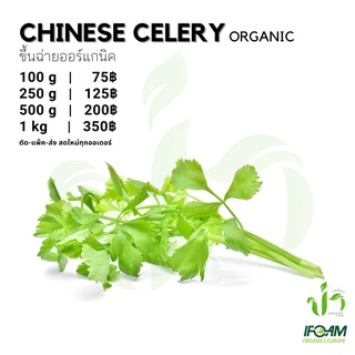 ขึ้นฉ่ายออร์แกนิค Organic Chinese Celery มาตรฐานออร์แกนิค IFOAM ผักสลัด ผักสด เก็บ-แพ็ค-ส่ง เก็บใหม่ทุกออเดอ