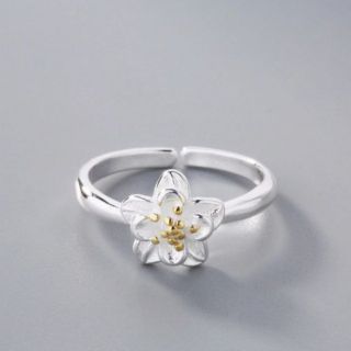 แหวนดอกไม้นานาพรรณ • Flowery Ring