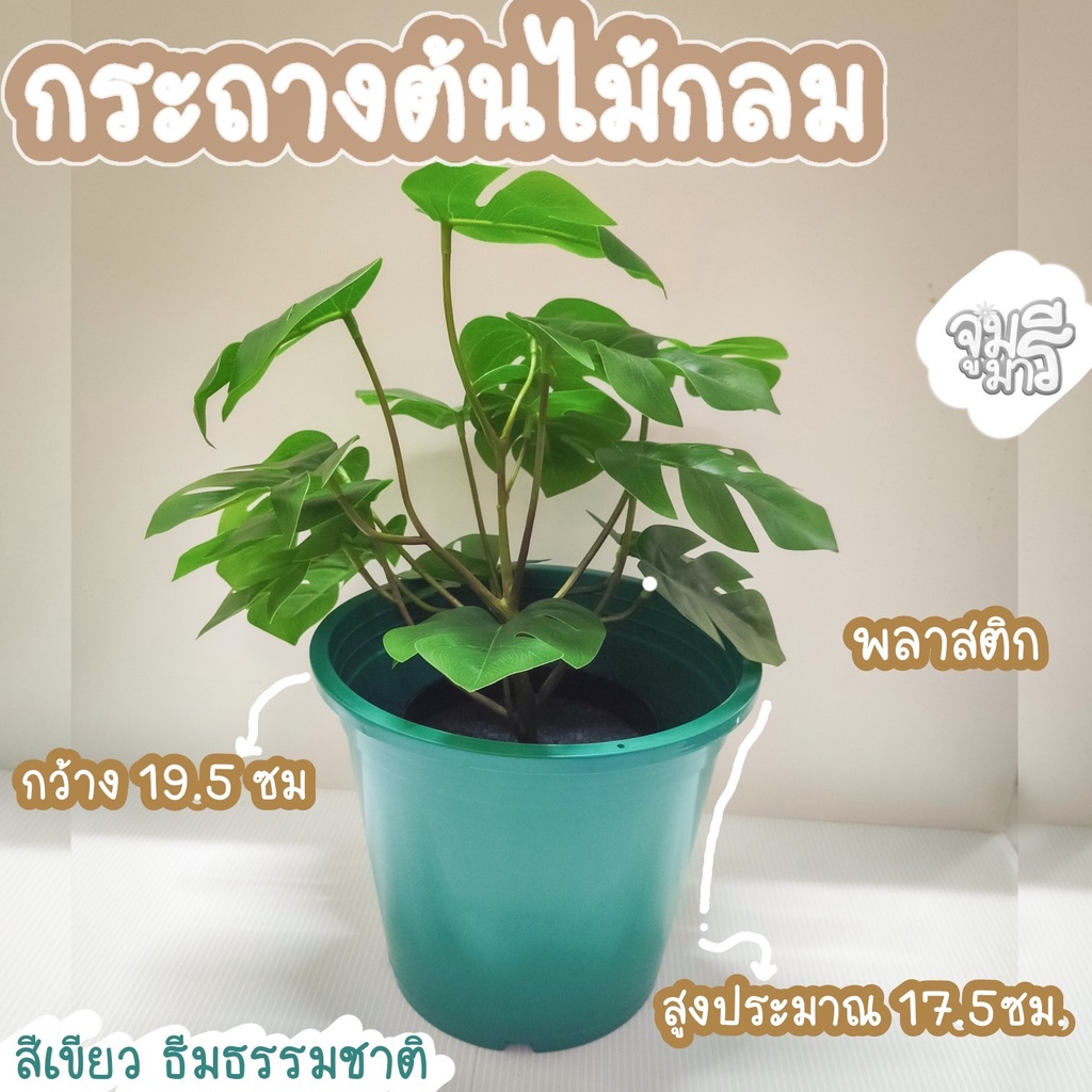 พร้อมส่ง!!💥💥กระถางต้นไม้ 7.8 นิ้ว กระถางพลาสติก