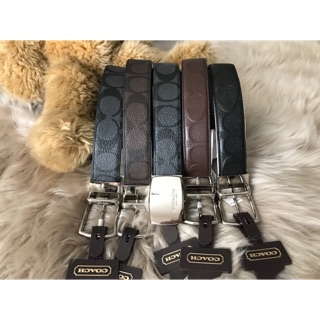 Coach belt for men