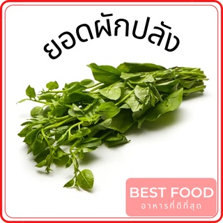 ยอดผักปลัง ผักสด ราคาถูก