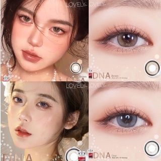 [แท้ พร้อมส่ง ] คอนแทคเลนส์ รายเดือน สีน้ำตาล สีเทา Lovelylens DNA น้ำตาล / เทา ค่าอมน้ำ 42% แถมตลับทุกคู่