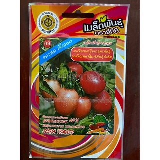 เมล็ดมะเขือเทศสีดา 10 แถม 1  มะเขือเทศ สีดา seeda tomato เมล็ดพันธุ์ผัก