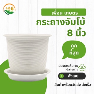 กระถางต้นไม้ กระถาง กระถางต้นไม้พลาสติก minimal กระถางจัมโบ้ Jumbo ขนาด 8 นิ้ว สีขาว