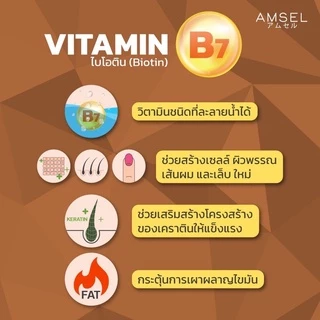 Amsel Biotin + Zinc & Horsetail Extract แอมเซล ไบโอติน ซิงค์ และสารสกัดจากหญ้าหางม้า(30 แคปซูลx1ขวด)