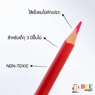 [ยกกระปุก 50 แท่ง] ดินสอสี สีไม้ Beehive แท่งยาว ด้ามจับสามเหลี่ยม สดเข้ม ระบายง่าย