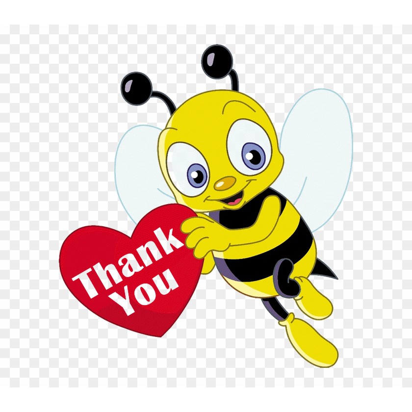 295k 3 กิโล*********