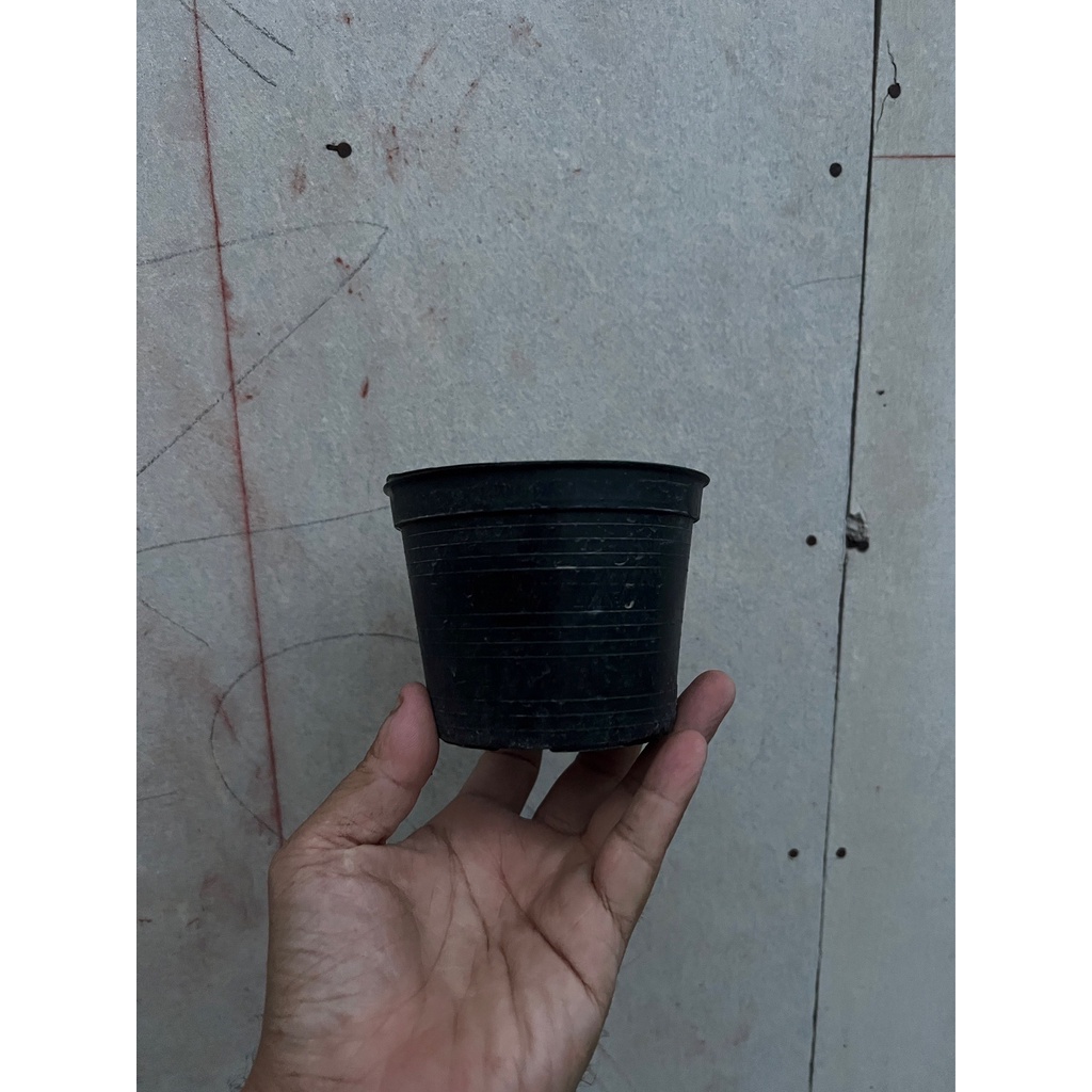 มุมมอง 2