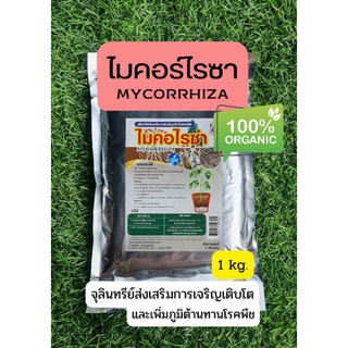 ไมคอร์ไรซา Mycorrhiza  เสริมการเจริญเติบโตของพืช ช่วยให้พืชโตเร็ว  ขนาด 1000 กรัม ชีวภัณฑ์ไร้สารเคมี (ค่าส่งถูกกว่า)