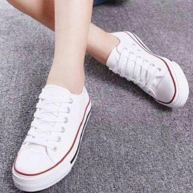 Classic shoes canvas