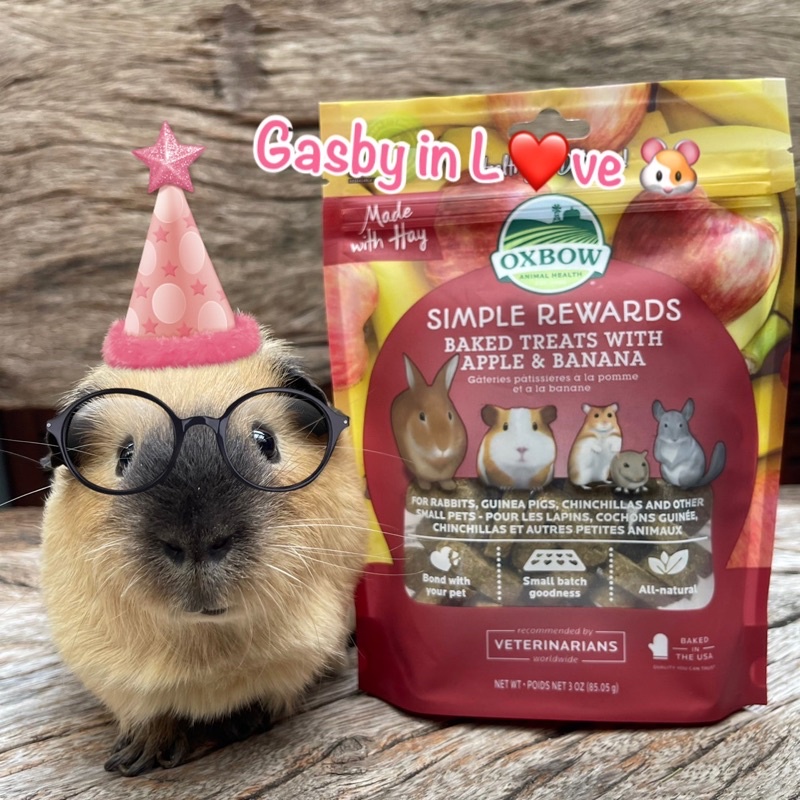Oxbow treat ขนมคุ้กกี้ สำหรับสัตว์ฟันแทะ ขนาด 3 ออนซ์ รสแอปเปิ้ลและกล้วย 🍎🍌🐹