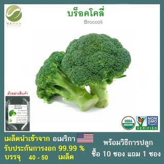 เมล็ดบร็อคโคลี่  จำนวน 40-50  เมล็ด