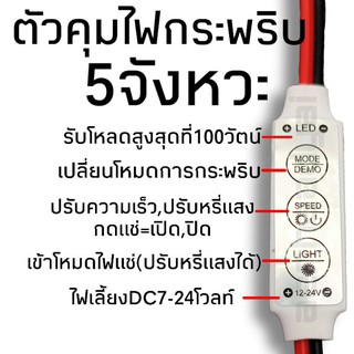 ตัวคุมไฟกระพริบ5จังหวะ #1051 พร้อมปรับความเร็วได้ ใช้ไฟเลี้ยง6-24โวลท์ ทนกระแส10A