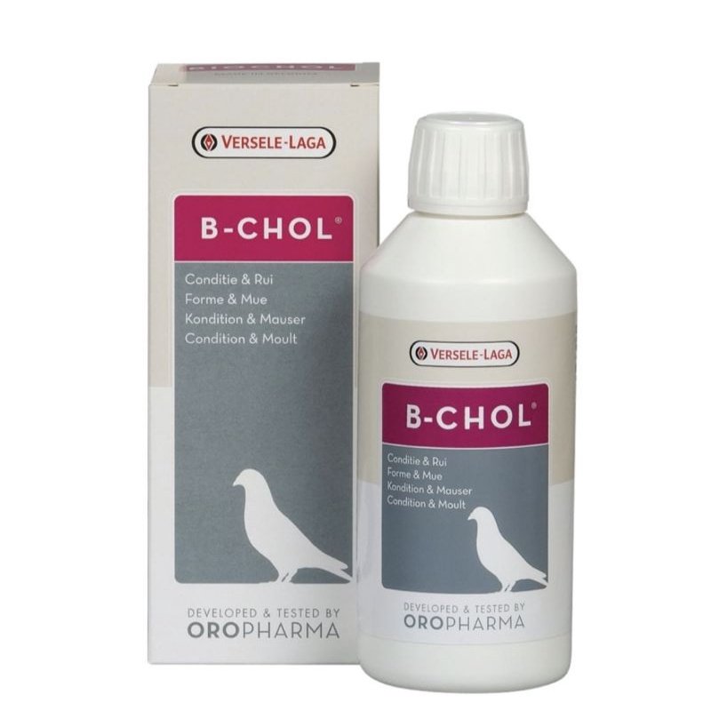 OROPHARMA - B-CHOL อาหารเสริมสำหรับนก บำรุงตับ ขับสารพิษจากตับ กระตุ้นการผลัดขน (500 ml.), Versele Laga