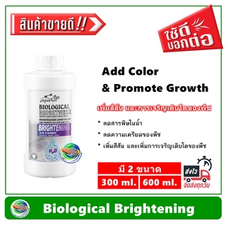 Biological Brightening แบคทีเรีย ช่วยเพิ่มสีสันและการเจริญเติบโตของพืช ลดสารพิษในน้ำ ลดความเครียดของพืช