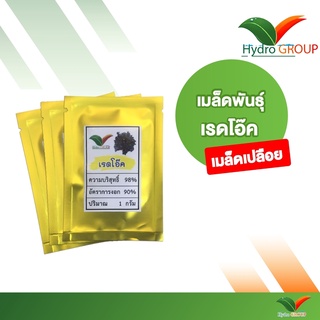 เมล็ดพันธุ์ผักเรดโอ๊ค ชนิดเปลือย By Hydroponicgroup