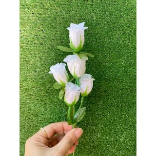 ดอกกุหลาบวาเลนไทน์ ช่อ 5 ดอก ราคาส่ง