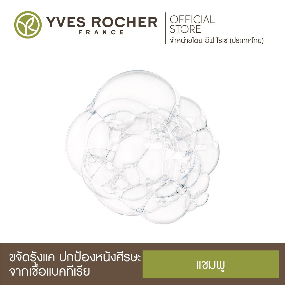 [New] Yves Rocher BHC Anti Dandruff Treatment Shampoo 300ml