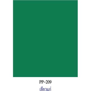 สีเขียวแก่ กระดาษโปสเตอร์สี 2 หน้า 20 แผ่น  PP209