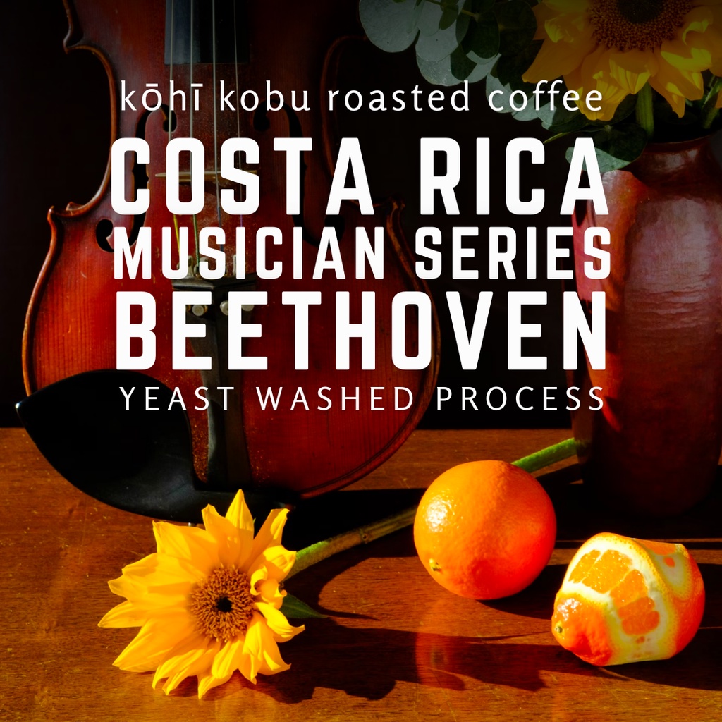 [มาเต็มทั้งทุ่งดอกไม้] Costa Rica Beethoven กาแฟคั่วสดใหม่ สไตล์นักดนตรีดอกไม้หอมฟุ้ง ขนาด 100g - 200g.