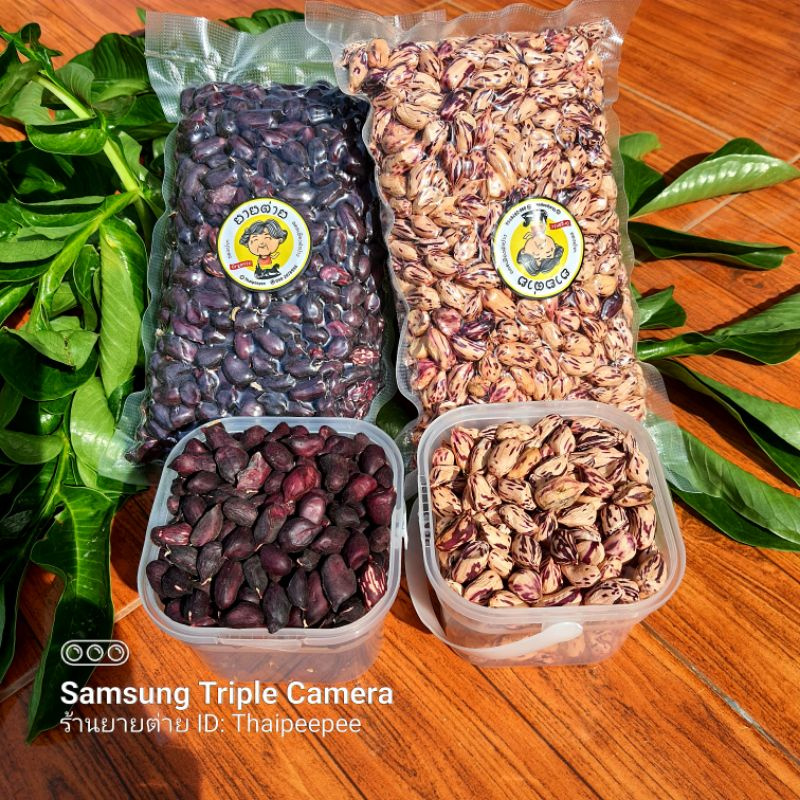 ถั่วลายเสือดิบ 500กรัม ปลอดสาร ทำพันธุ์ได้ ทำอาหารได้ แกะมือมี2สี