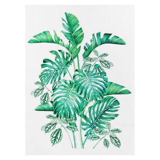 sticker DIY WALL DECAL HOME LIVING STYLE TROPICAL 34X47CM Stickers Wallpapers Home &amp; Furniture สติ๊กเกอร์ สติ๊กเกอร์ลอกน