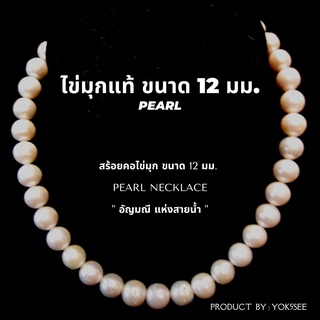 Yok5see สร้อยไข่มุก แท้ ขนาด 12 มม สร้อยคอมุก สร้อยไข่มุก สร้อยคอไข่มุก สร้อยมุกแท้ สร้อยมุก สร้อยคอ สร้อย ไข่มุก ไข่มุก