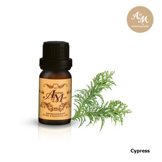 Aroma&amp;More  CYPRESS Essential Oil 100% น้ำมันหอมระเหย สนไซเพรส 100% ฝรั่งเศส / France 10/30ML