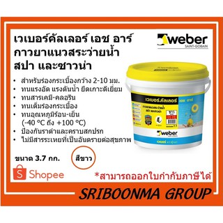 Weber เวเบอร์ คัลเลอร์ เอช อาร์ | กาวยาแนวสระว่ายน้ำ  สปา และซาวน่า | ขนาด 3.7 กก.