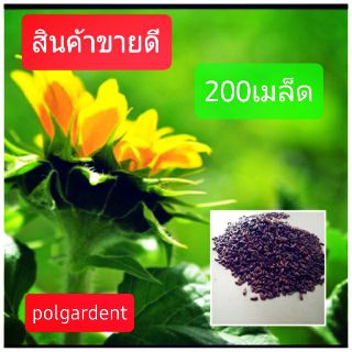 เมล็ดพันธ์ทานตะวันแมมมอธ🌻🌻  บรรจุ 200เมล็ด ดอกใหญ่ ปลูกง่าย โตเร็ว โชว์ดอก🌻🌻🌻🌻