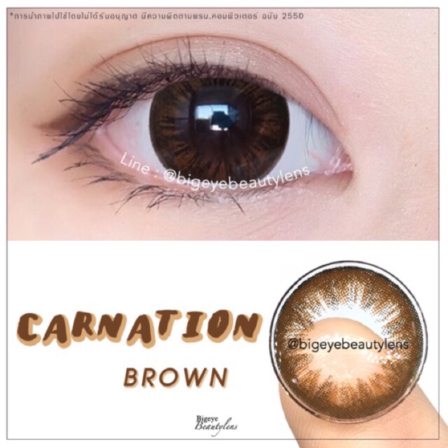 Carnation brown [ค่าสายตา -0.00 - 7.00 ] คอนแทคเลนส์ [ รายเดือน ] ยี่ห้อ beautylens ( ขนาดตาโต ) - รูปที่ 2