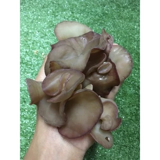 เห็ดหูหนูสด 🍄 - เห็ดหอมอร่อย ผักผลไม้