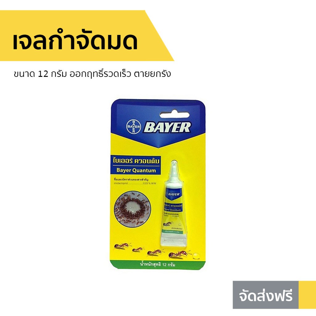 เจลกำจัดมด Bayer ขนาด 12 กรัม ออกฤทธิ์รวดเร็ว ตายยกรัง รุ่น BAYER Quantum - ยาหยอดมด