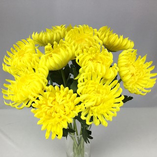 OrientalFineArt ดอกฟูจิมัมสีเหลือง ดอกไม้ประดิษฐ์เกรดพรีเมี่ยม ดอกสวย Artificial Fuji Mum stem(ST-00324 Yellow)