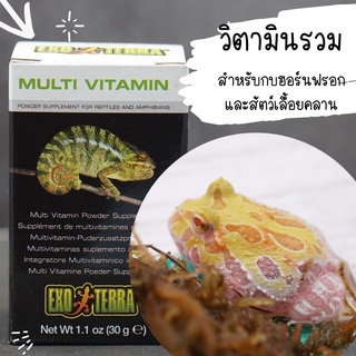 วิตามินรวมกบฮอร์นฟรอกและสัตว์เลื้อยคลาน Exoterra Multi Vitamin Powder สูตรยอดนิยม