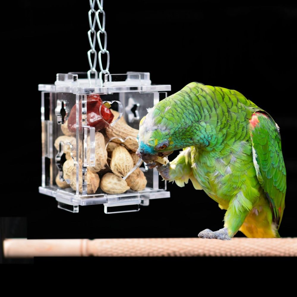 Treat Hunt Macaw กล่องใส่อาหารนก