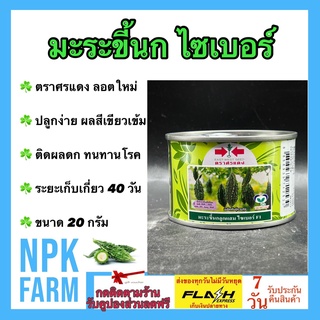 มะระขี้นก ไซเบอร์ ขนาด 20 กรัม เมล็ดพันธุ์ ศรแดง ลอตใหม่ งอกดี ผลสีเขียวเข้ม หนามเล็ก ติดผลดก ทนโรคราแป้ง ทนไวรัส