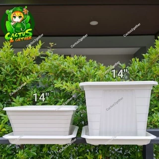 ถูกและหนา‼️กระถางเหลี่ยมโรมันทรงบอนไซ(ทรงเตี้ย)มีขา หนา7"/10"/14" ❌️ไม่รวมจานจานขายแยกค่ะ❌️ สีขาวครีม/เทา/ดำ/อิฐ
