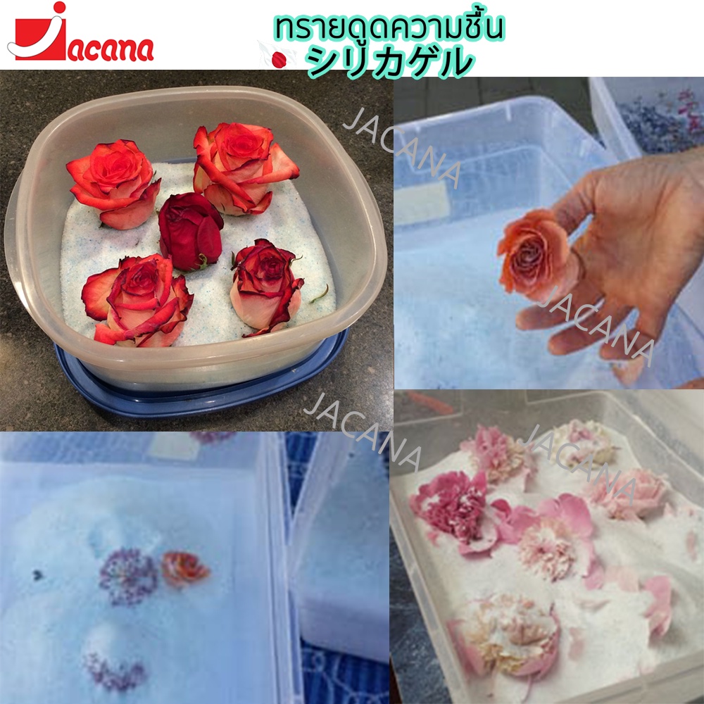 🌸ถูกที่สุด🌸 ซิลิก้าทราย 1 กิโล. สำหรับทำดอกไม้แห้ง มาลัยบ่าวสาว Silica gel สารกันชื้น ซองกันชื้น