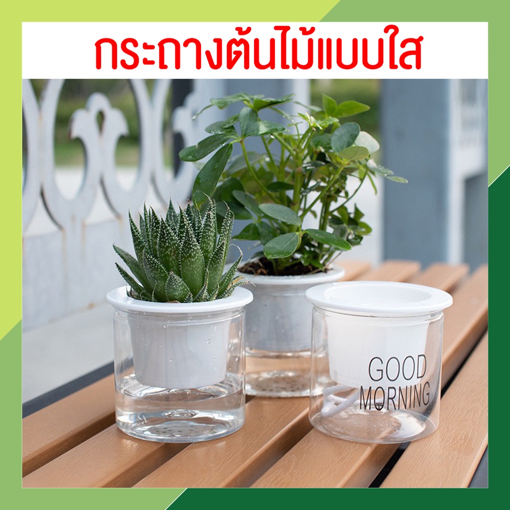 ถูกที่สุด!! กระถางต้นไม้แบบใส เก็บน้ำได้ ราคาถูก พร้อมจัดส่ง