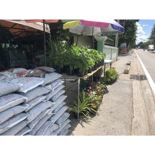 ผงชีวภาพดับกลิ่น 250 กรัม ร้านดินลดา