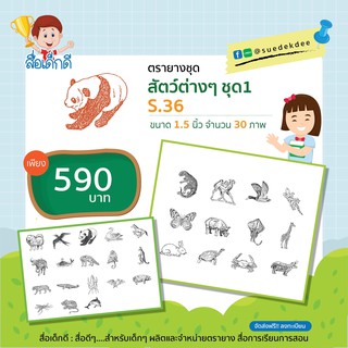 ตรายาง ชุดสัตว์ต่างๆ ขนาด1.5 นิ้ว S.36 จำนวน 30 ภาพ